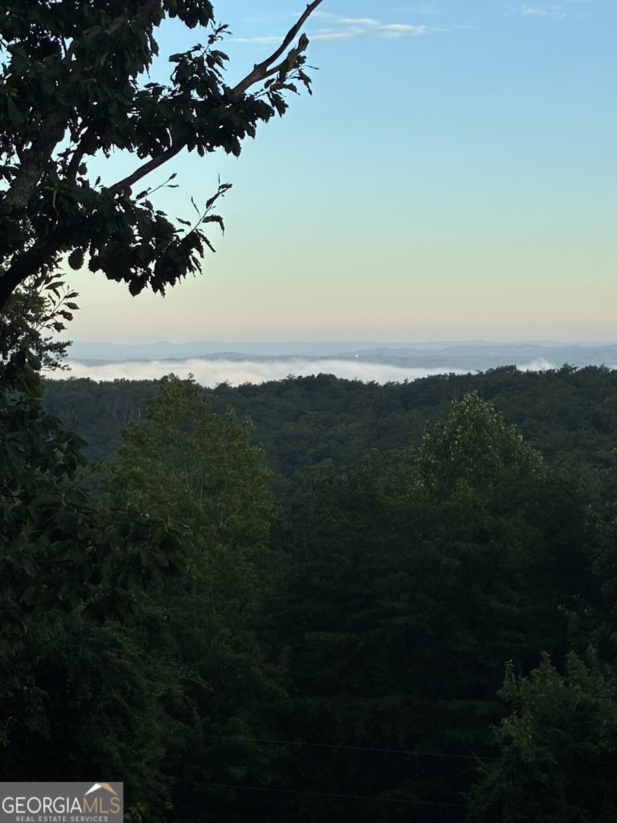 1688 Mulberry Circle Jasper - Photo 84