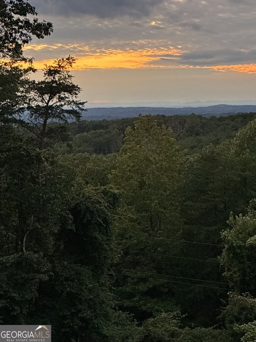 1688 Mulberry Circle Jasper - Photo 85