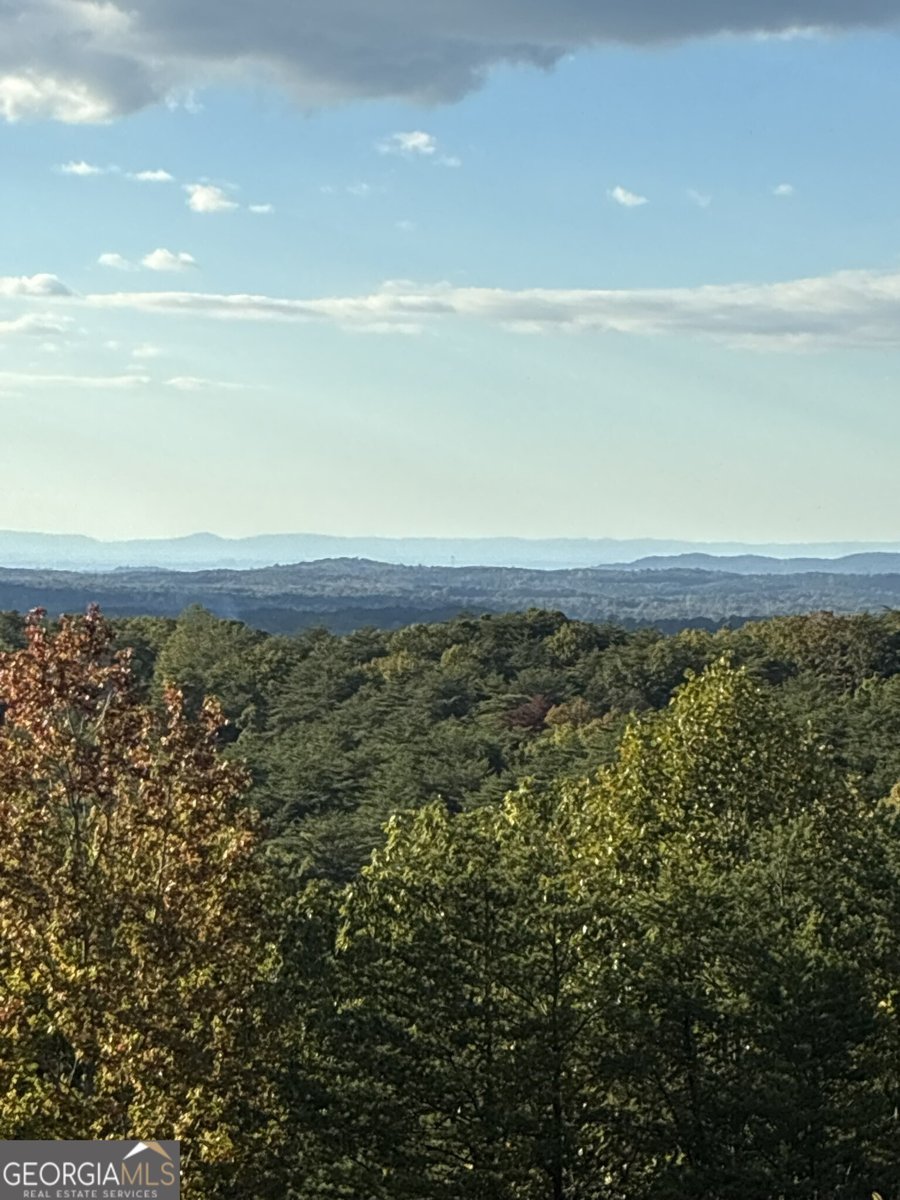 1688 Mulberry Circle Jasper - Photo 87