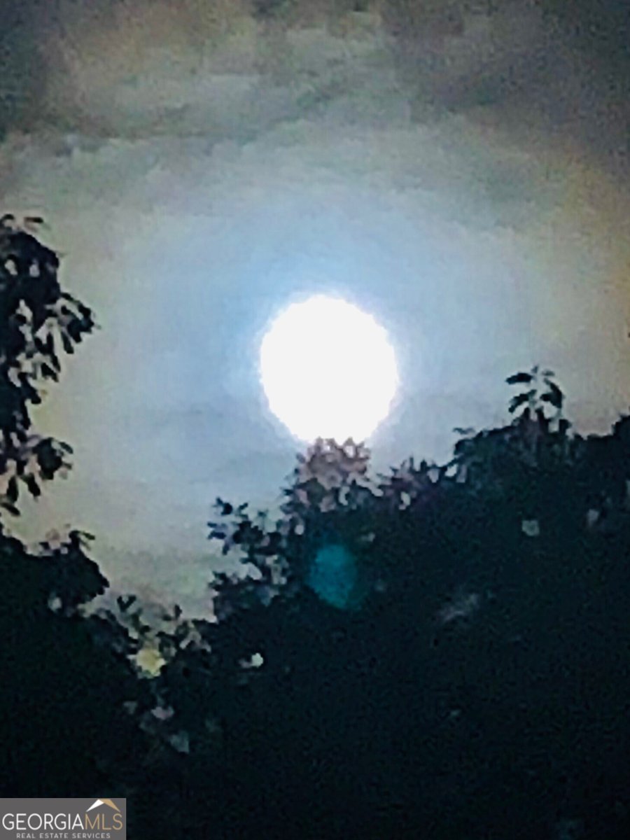 1688 Mulberry Circle Jasper - Photo 88