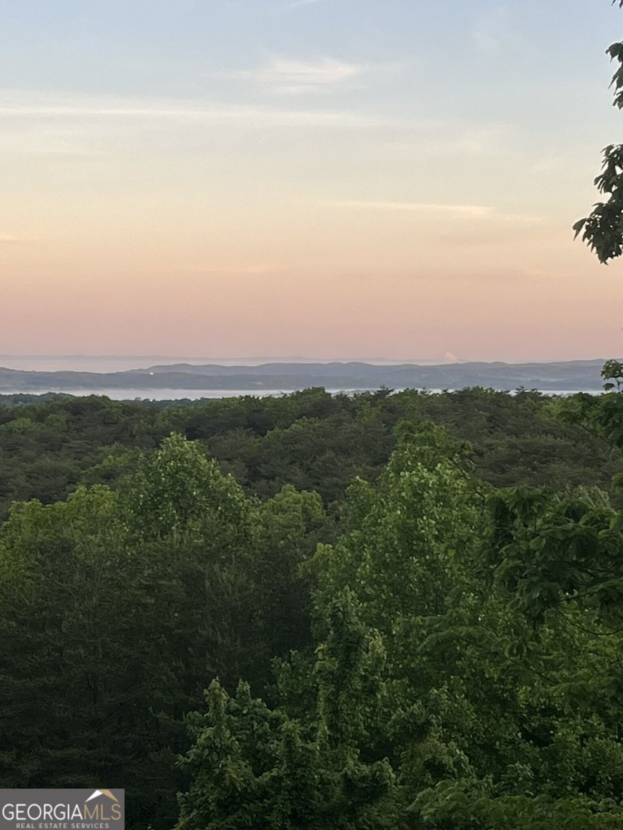 1688 Mulberry Circle Jasper - Photo 90