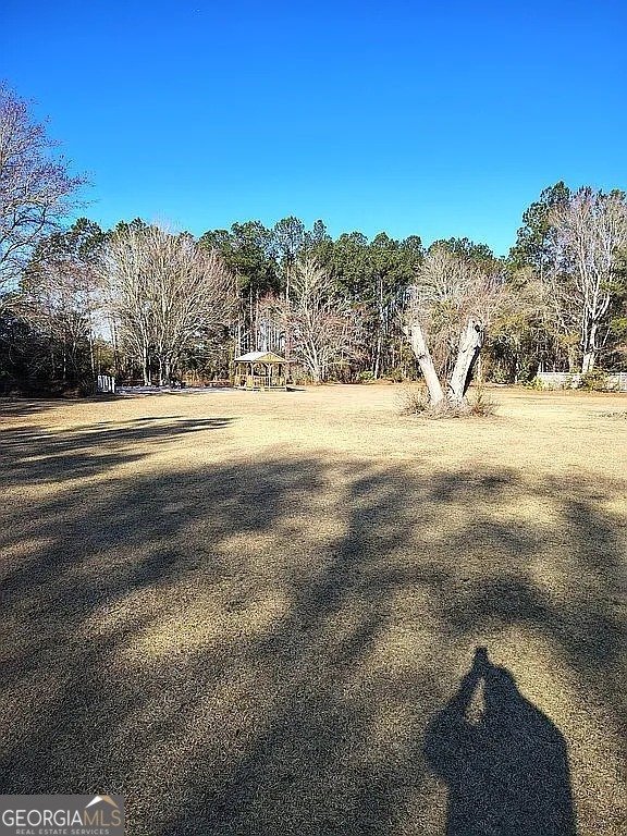 1670 Astoria Road Waycross - Photo 9