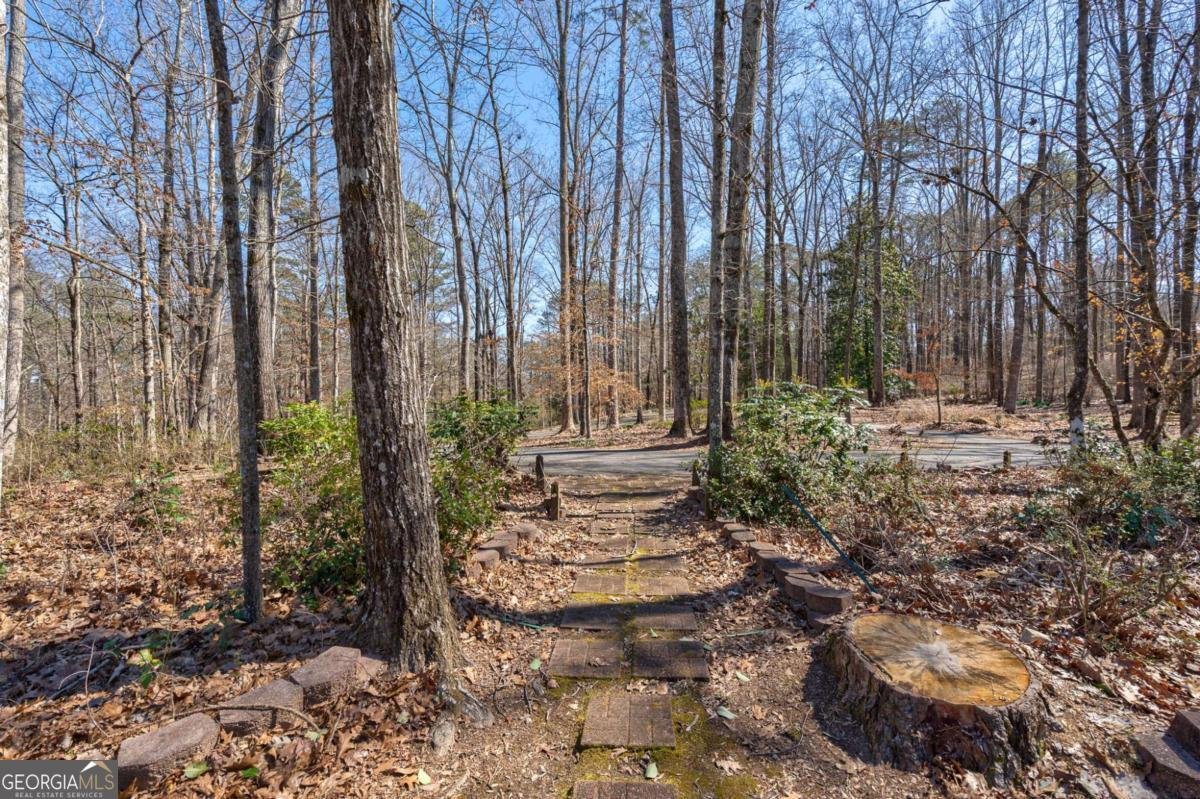 1380 Brittain Estates Drive Watkinsville - Photo 47