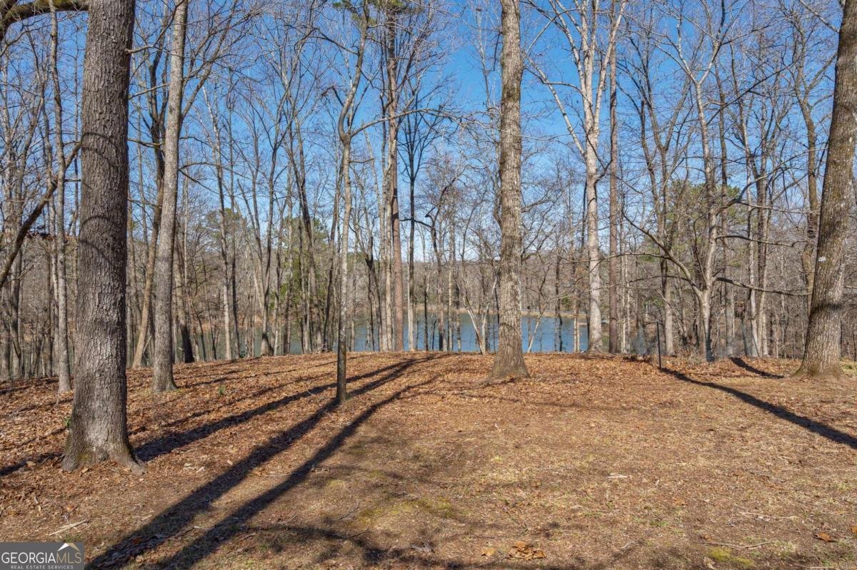 1380 Brittain Estates Drive Watkinsville - Photo 51