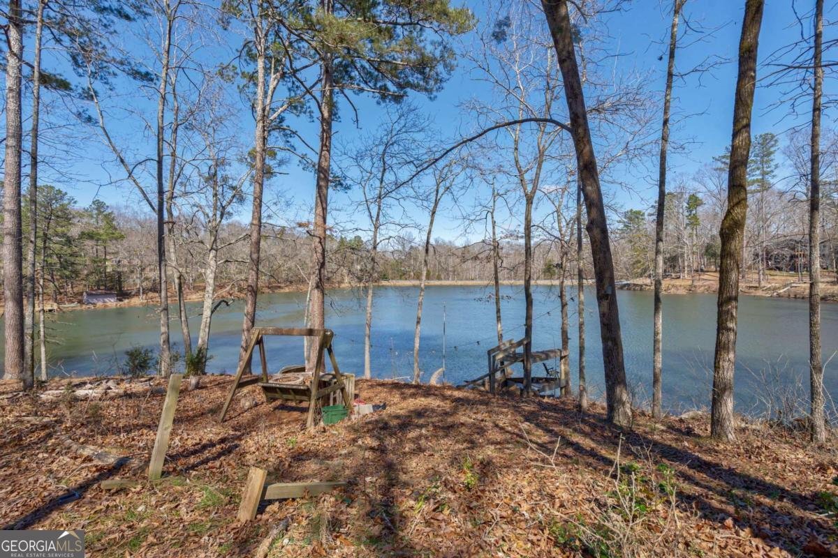 1380 Brittain Estates Drive Watkinsville - Photo 52