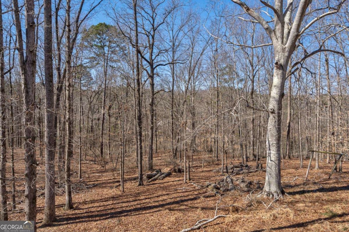 1380 Brittain Estates Drive Watkinsville - Photo 55