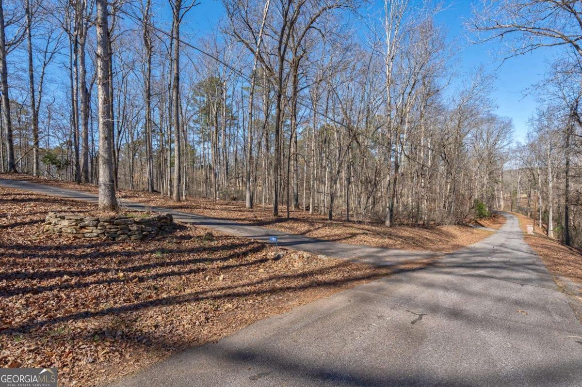 1380 Brittain Estates Drive Watkinsville - Photo 56