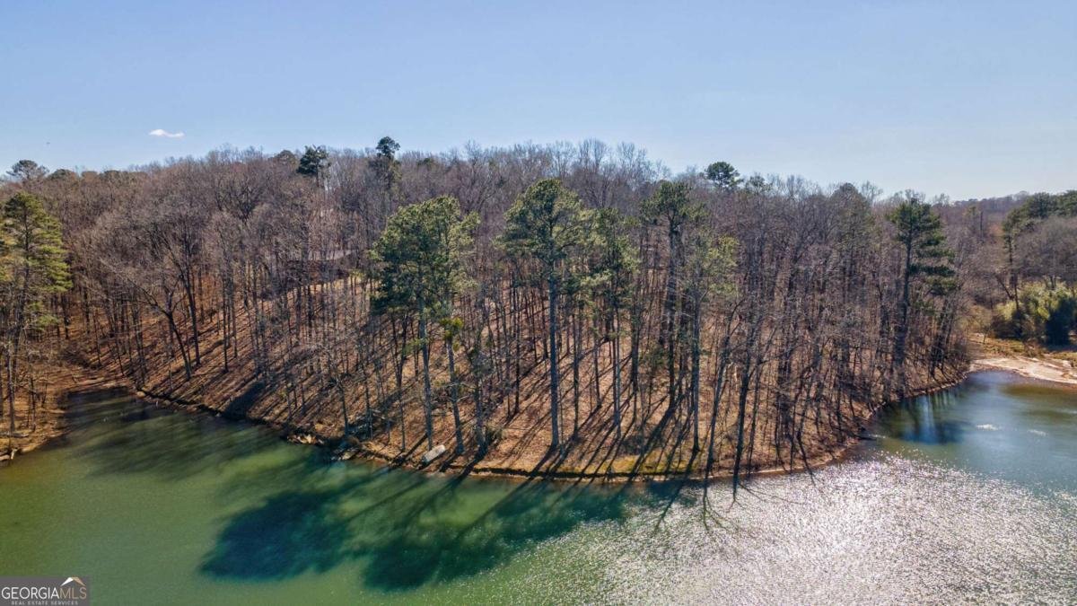 1380 Brittain Estates Drive Watkinsville - Photo 64