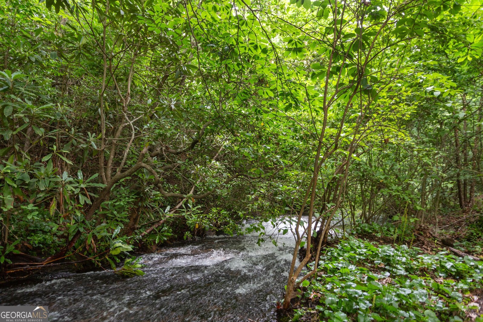 729 Huckleberry Way Jasper - Photo 67