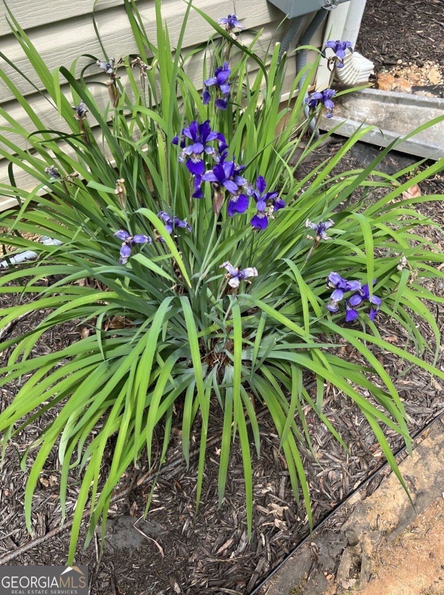 99 Georgias Lane Dallas - Photo 52