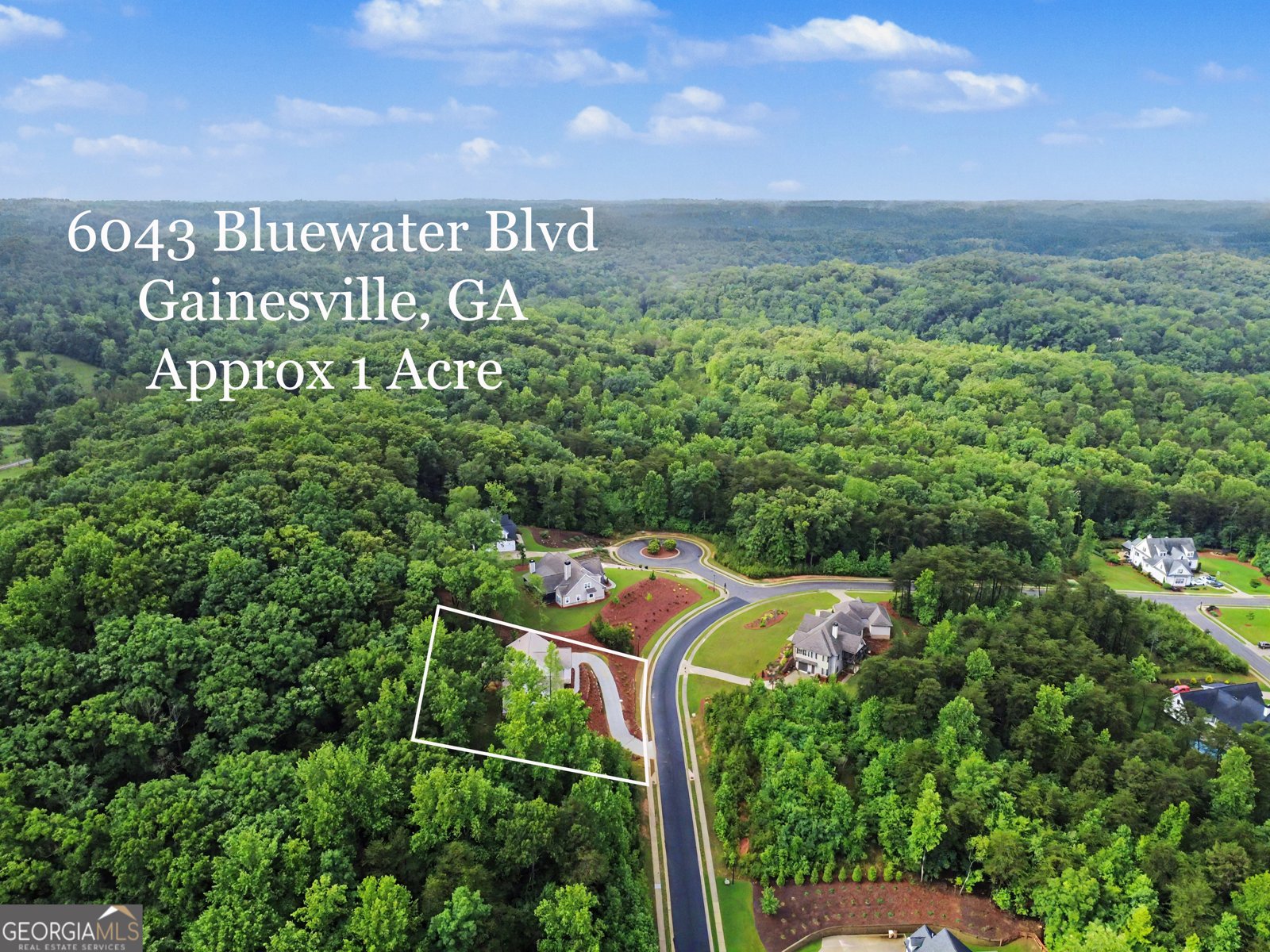6043 Bluewater Boulevard Gainesville - Photo 58