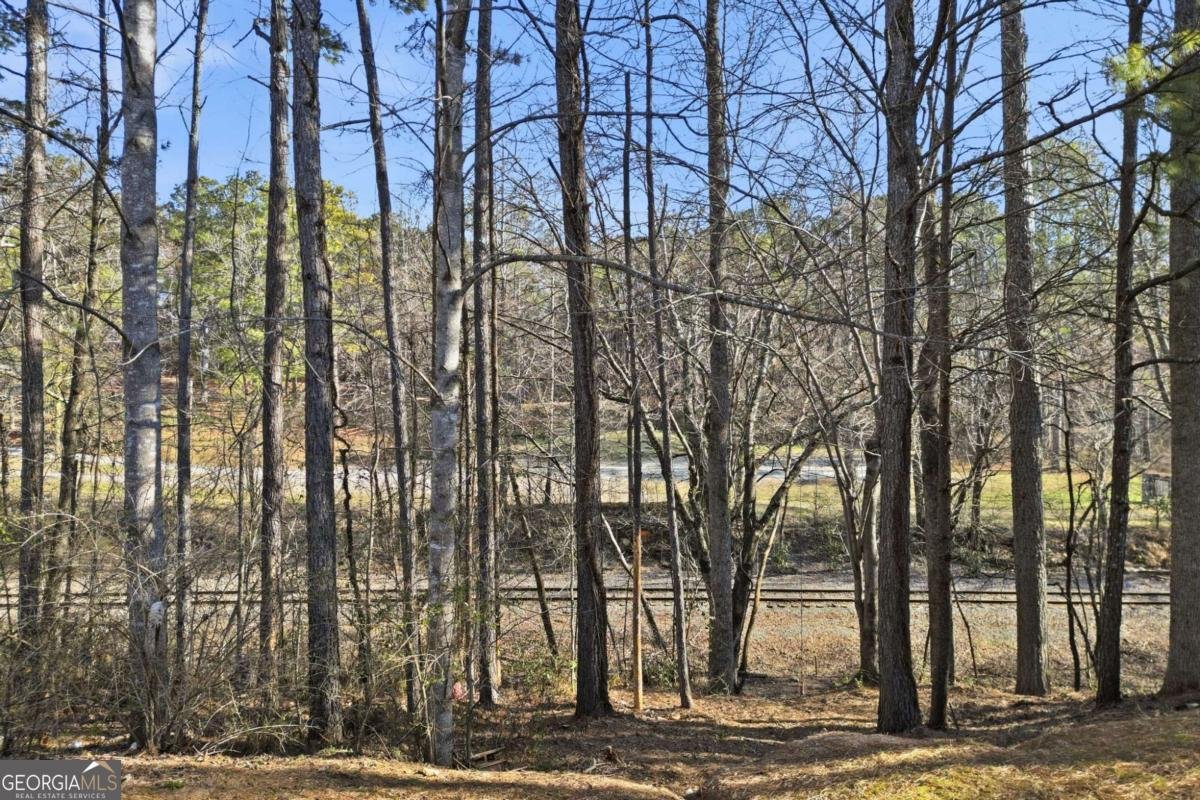 201 Arbor Hills Road Talking Rock - Photo 36