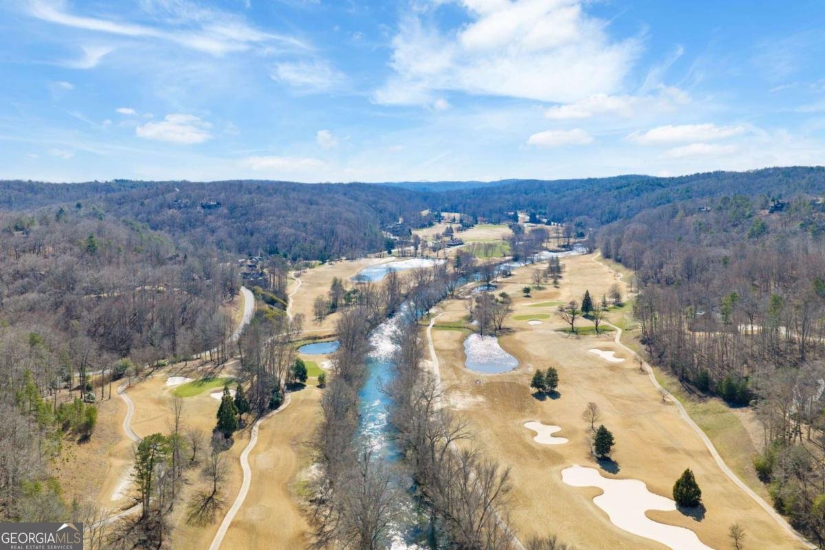 1364 Birch River Drive Dahlonega - Photo 64