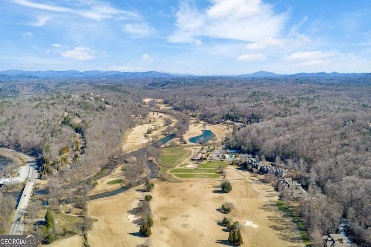 1364 Birch River Drive Dahlonega - Photo 66