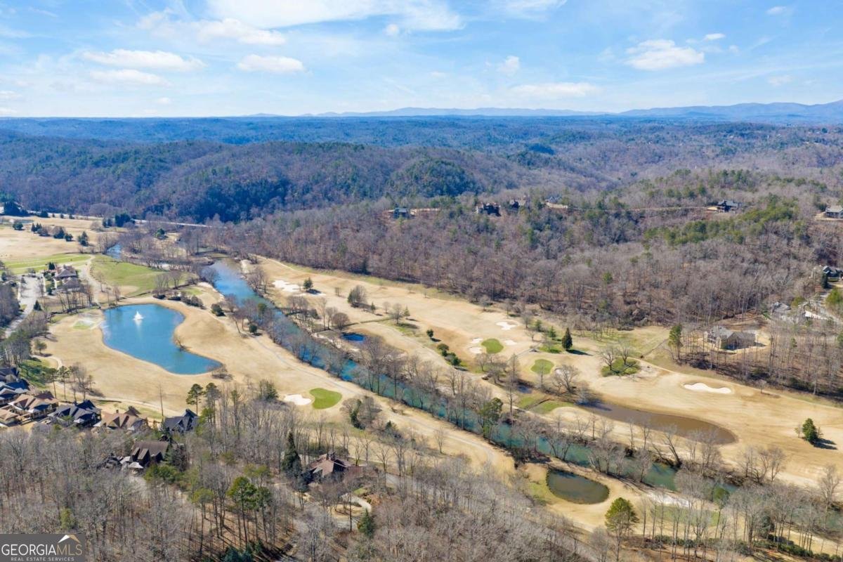 1364 Birch River Drive Dahlonega - Photo 67