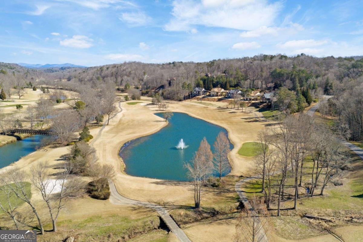 1364 Birch River Drive Dahlonega - Photo 68