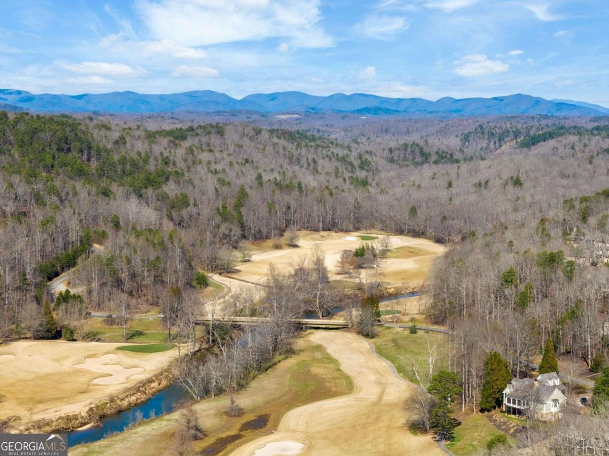 1364 Birch River Drive Dahlonega - Photo 69