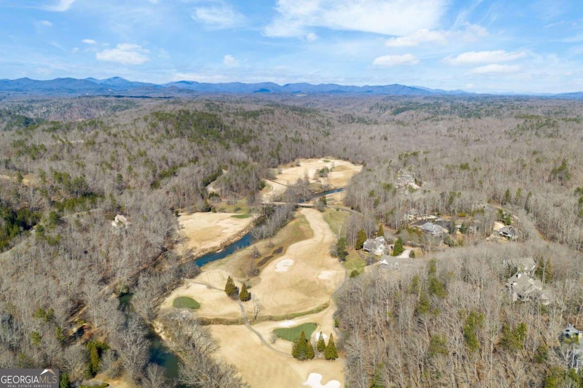 1364 Birch River Drive Dahlonega - Photo 74