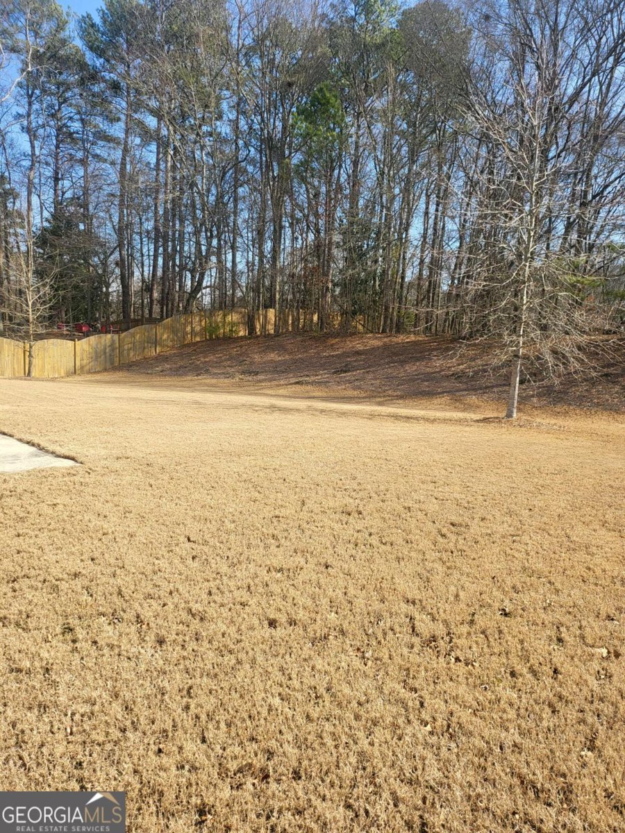 2595 Jupiter Drive Powder Springs - Photo 25