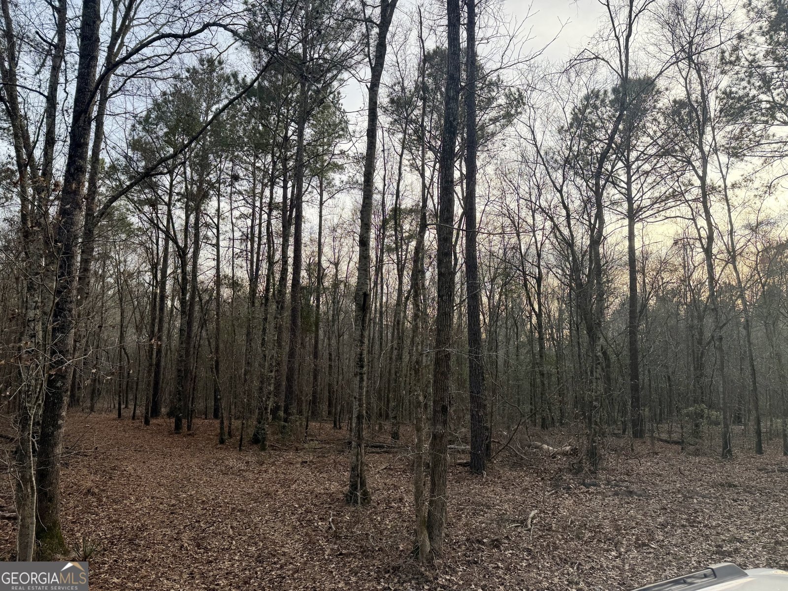 2601 New Evergreen Church Road Cadwell - Photo 27