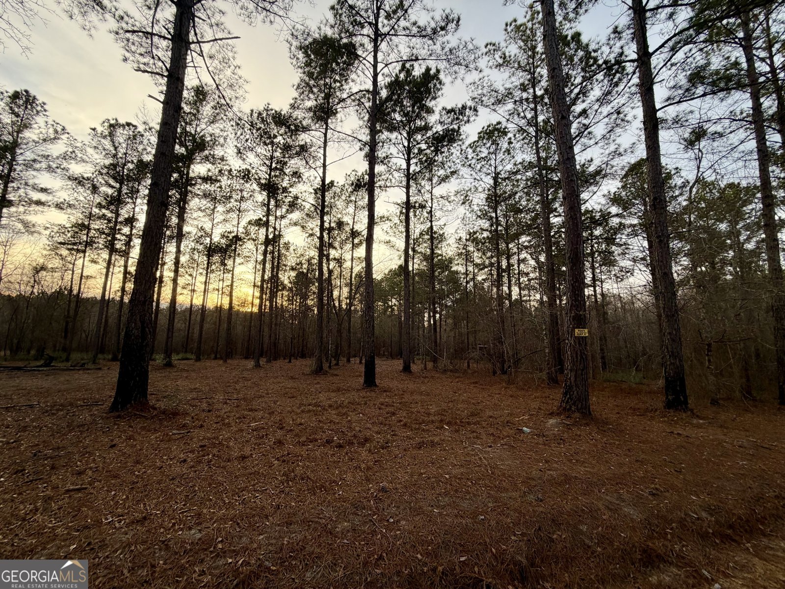 2601 New Evergreen Church Road Cadwell - Photo 28