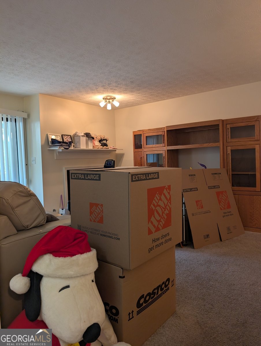 206 River Run Drive Atlanta - Photo 11