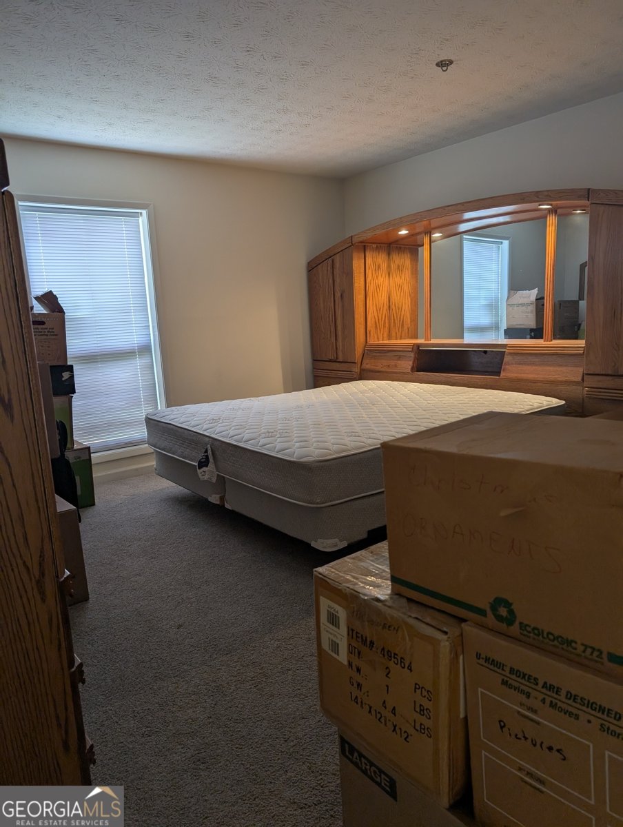 206 River Run Drive Atlanta - Photo 7