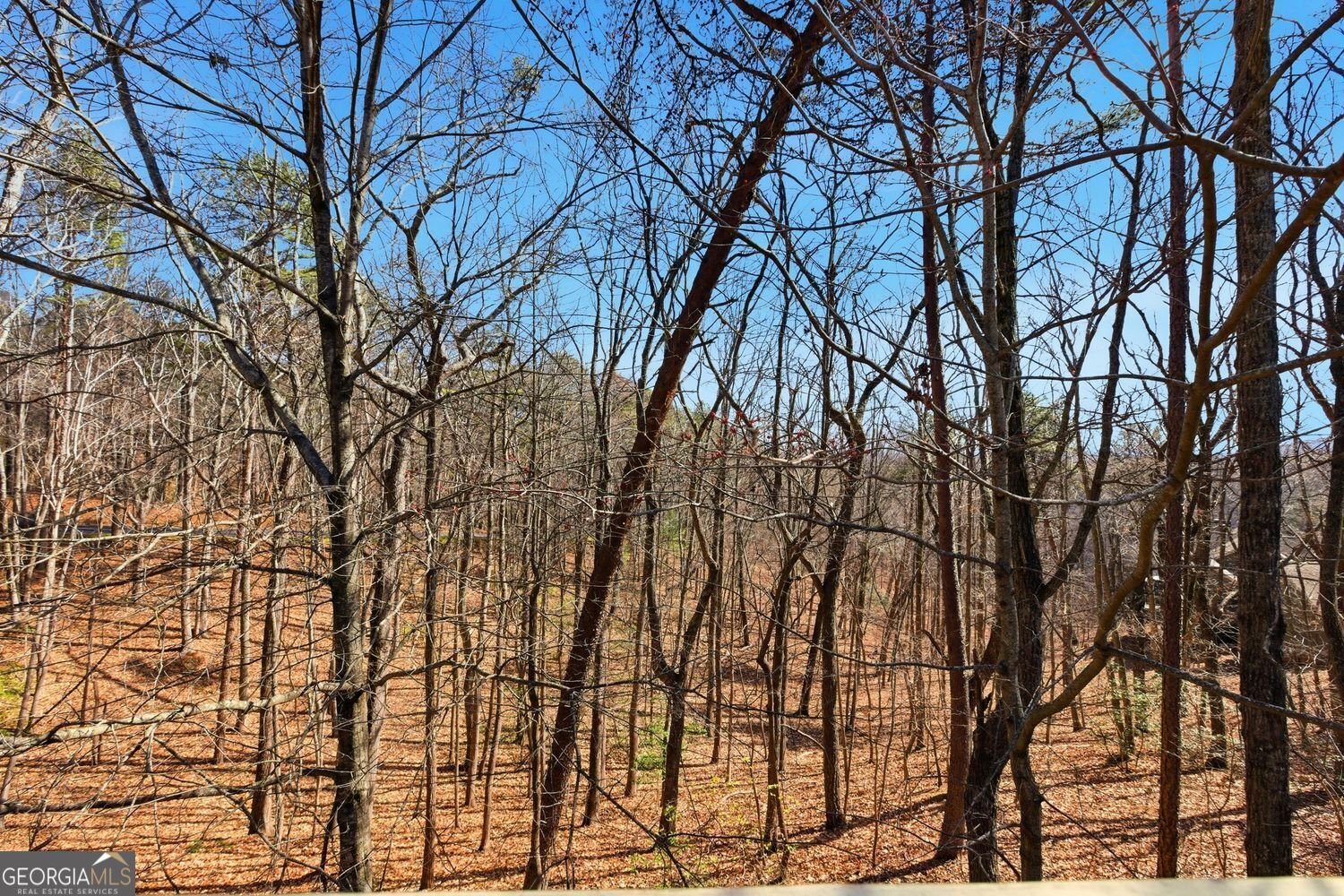 15 Wedgewood Drive Jasper - Photo 21