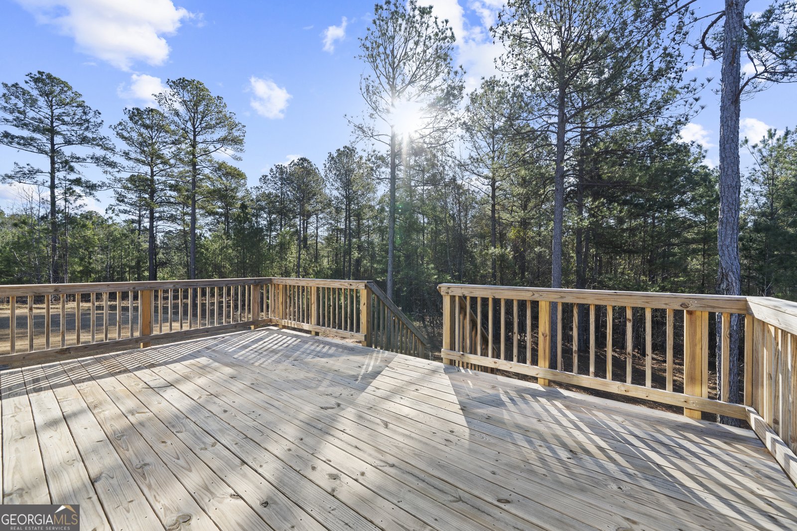 2910 Red Fox Drive Haddock - Photo 46