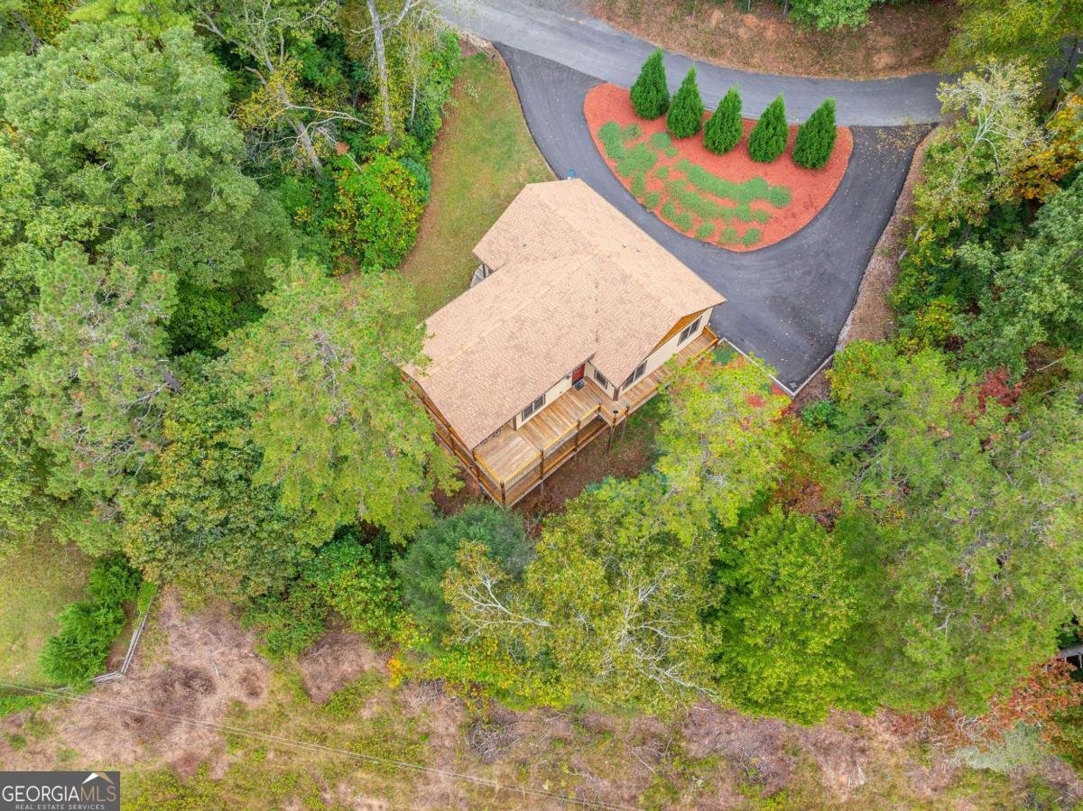 292 Silver Fox Trail Blue Ridge - Photo 60