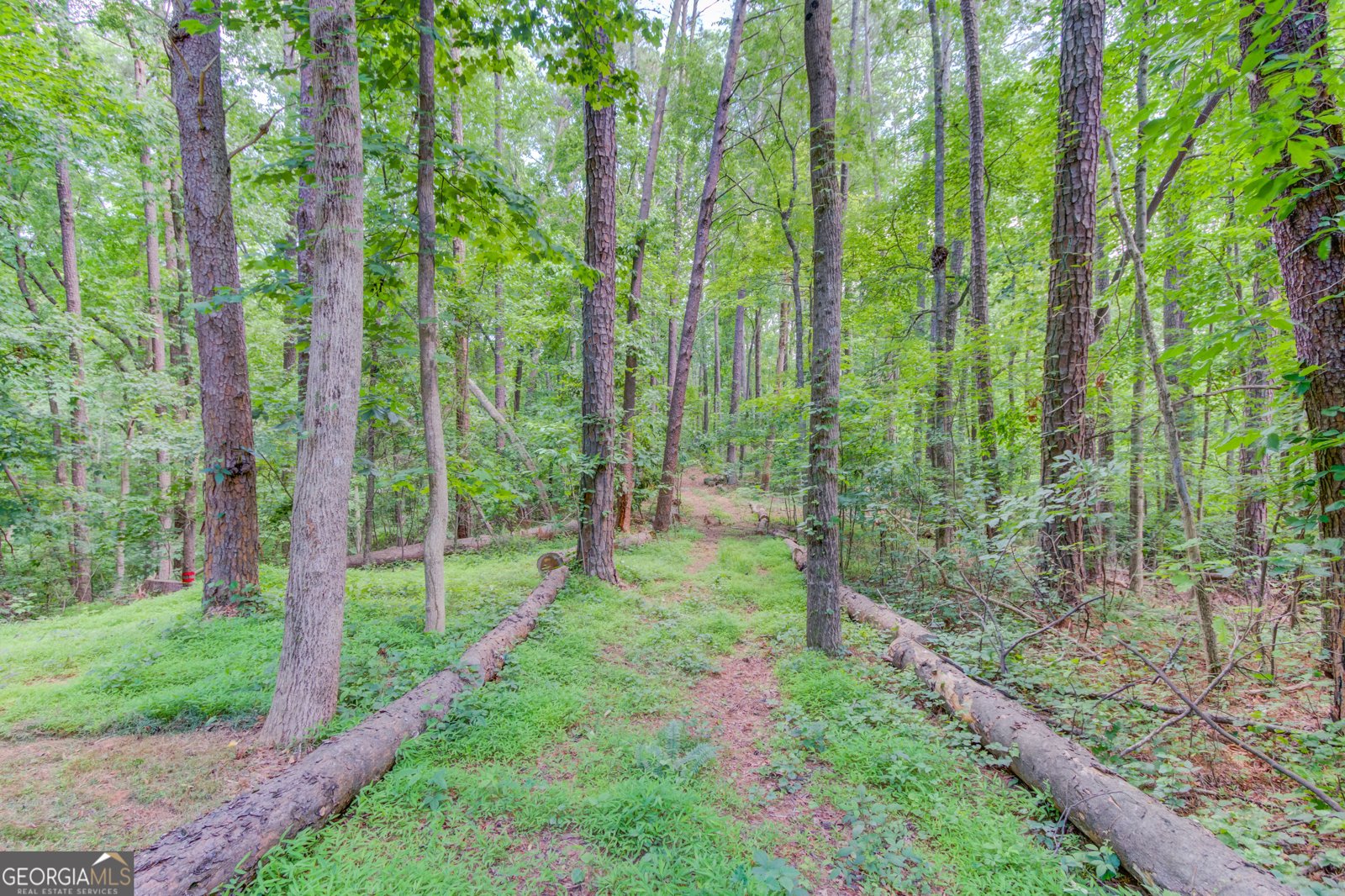 5345 Pilgrim Point Road Cumming - Photo 45