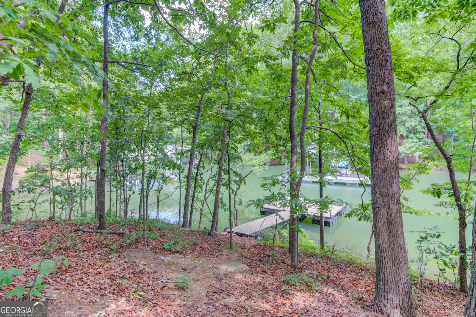 5345 Pilgrim Point Road Cumming - Photo 47