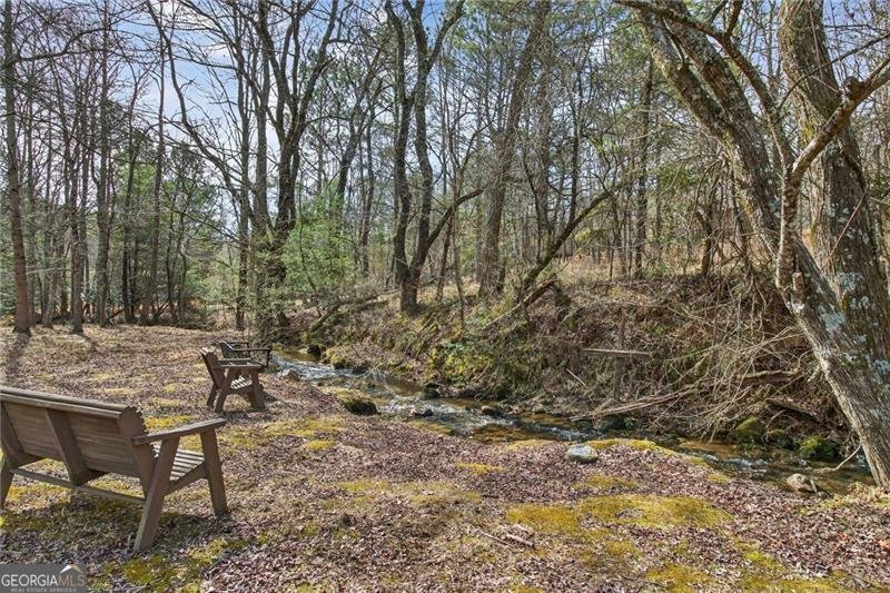 110 Old Indian Trail Blue Ridge - Photo 62