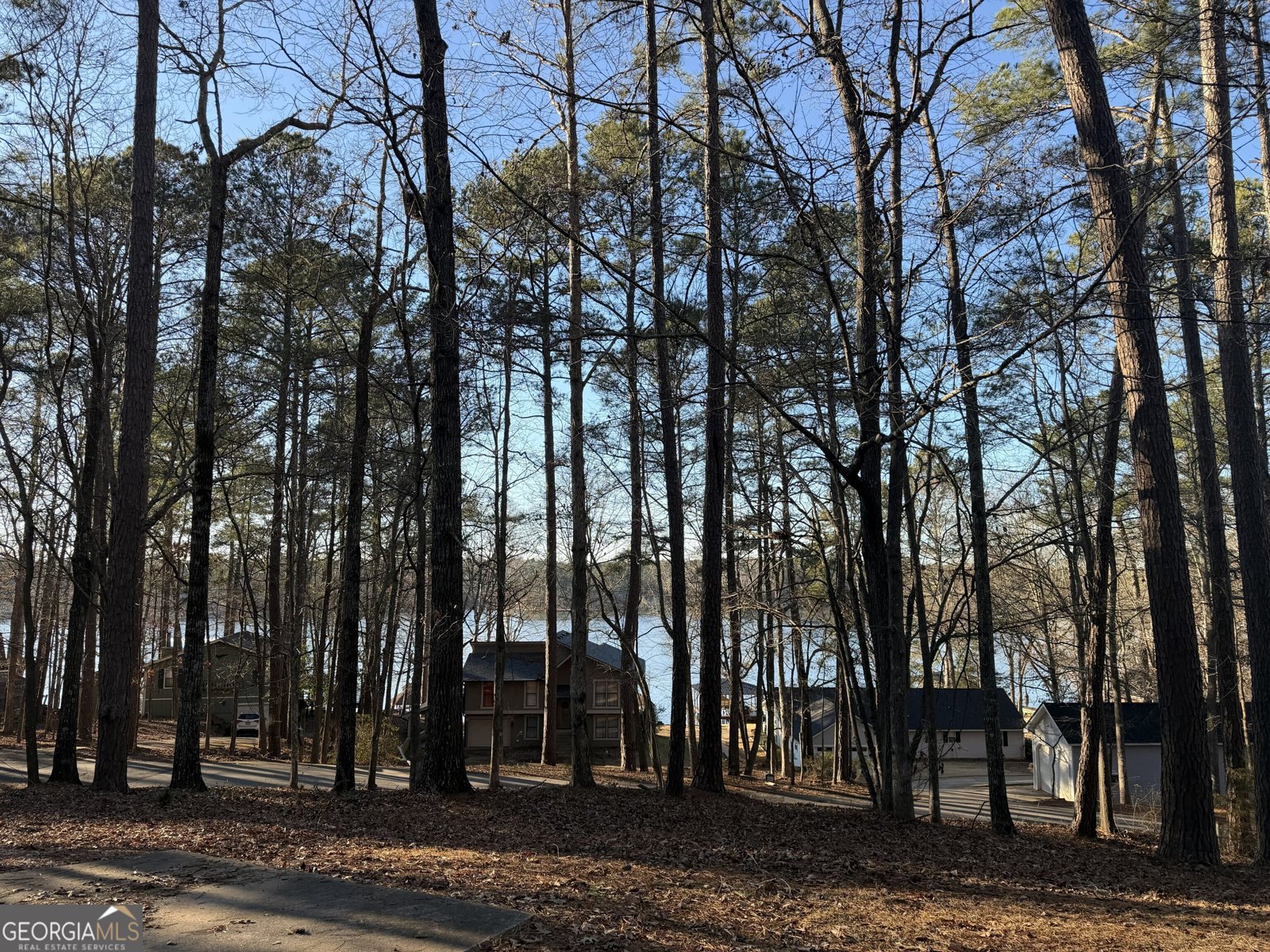 184 Nuthatch Drive Monticello - Photo 19