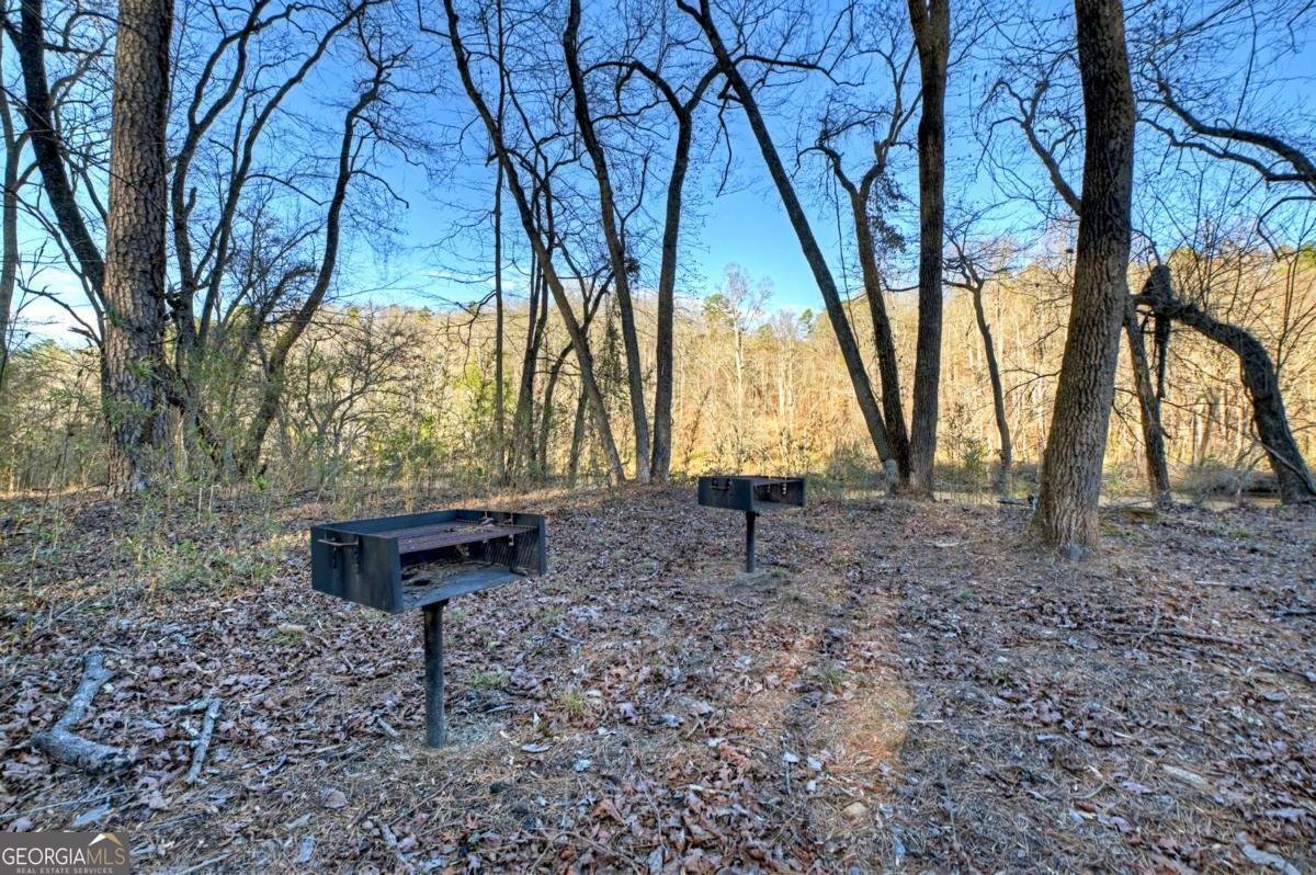 315 River Retreat Road Blue Ridge - Photo 43