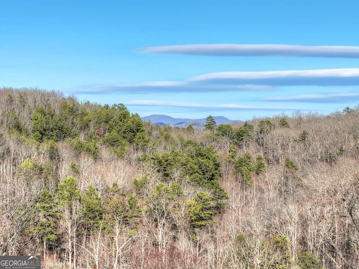 315 River Retreat Road Blue Ridge - Photo 57