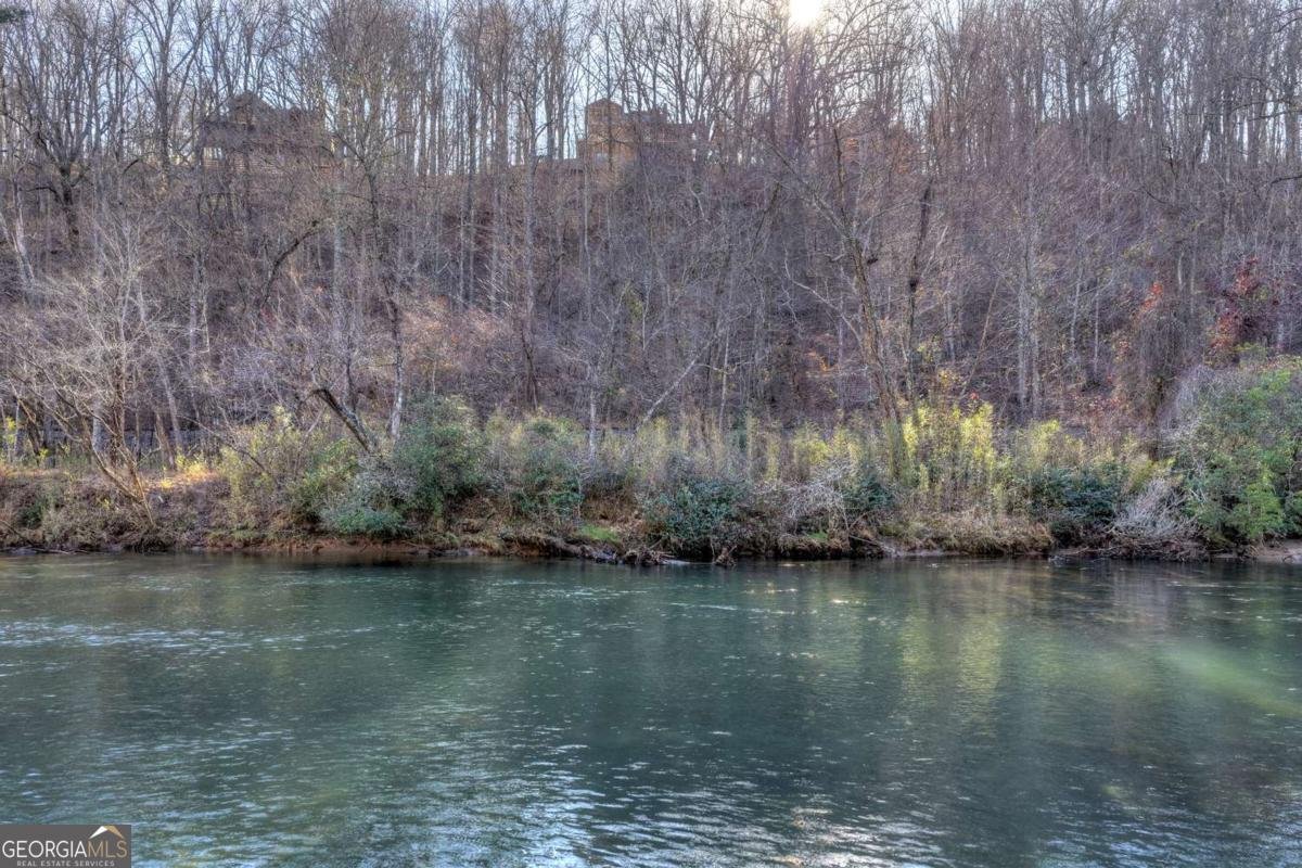 315 River Retreat Road Blue Ridge - Photo 64