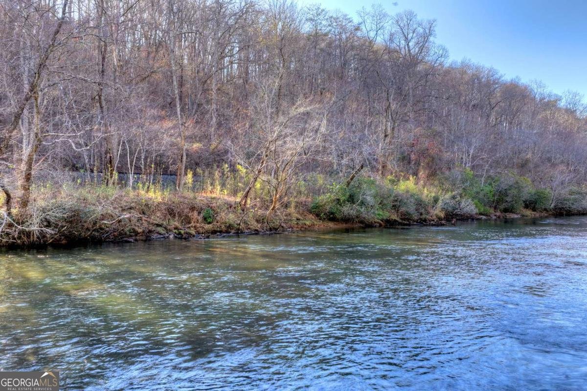 315 River Retreat Road Blue Ridge - Photo 65