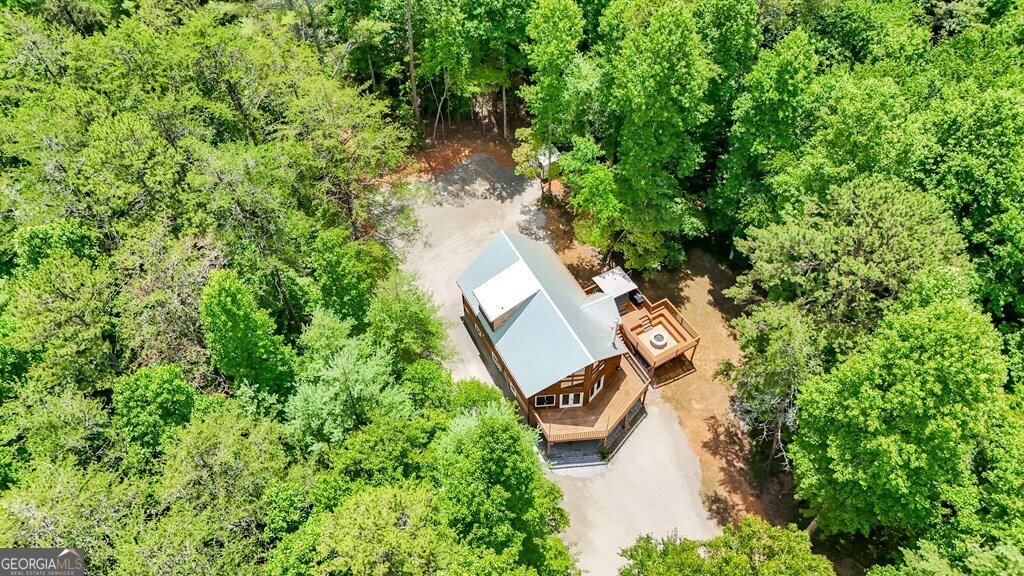 2 Watson Gap Road Mineral Bluff - Photo 9