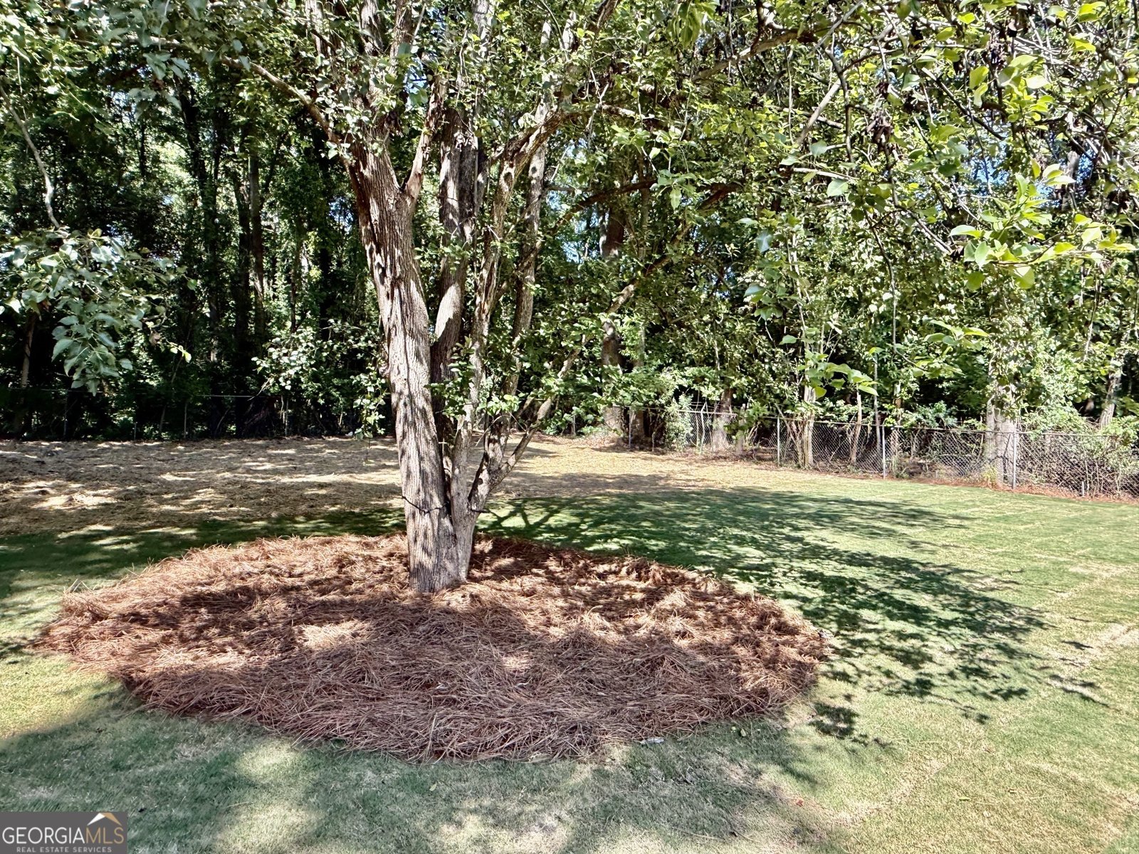 169 Vine Street Athens - Photo 27