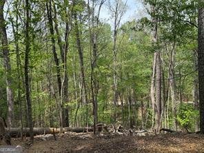 142 33rd Street Ellijay - Photo 23