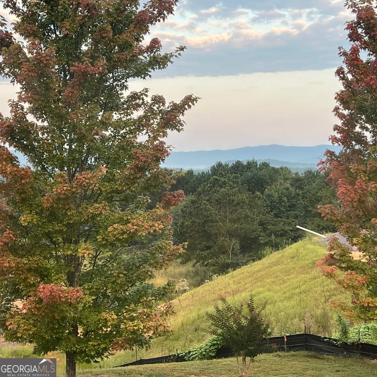 147 Millers Lane Calhoun - Photo 48