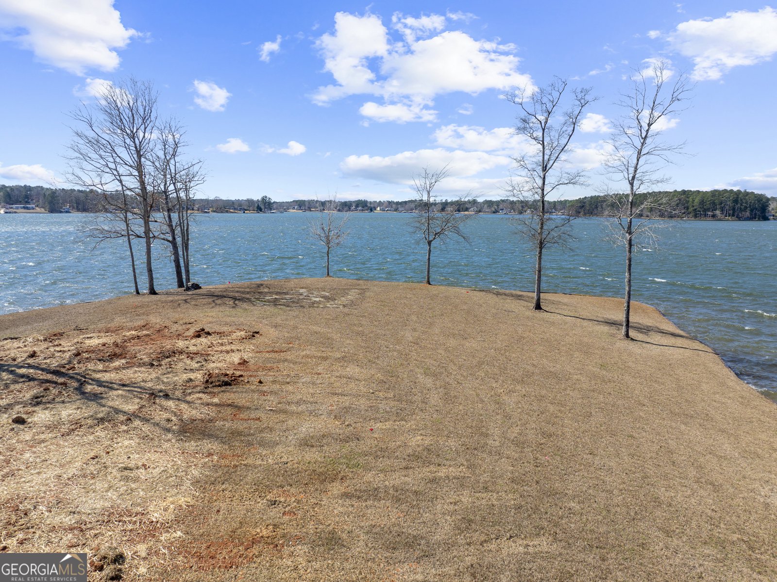 120 Shillelagh Circle Sparta - Photo 8