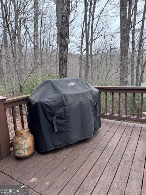 726 Cherry Lake Drive Cherry Log - Photo 16