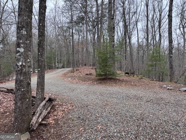 726 Cherry Lake Drive Cherry Log - Photo 19