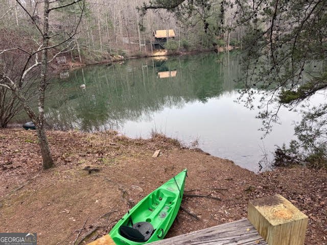 726 Cherry Lake Drive Cherry Log - Photo 21