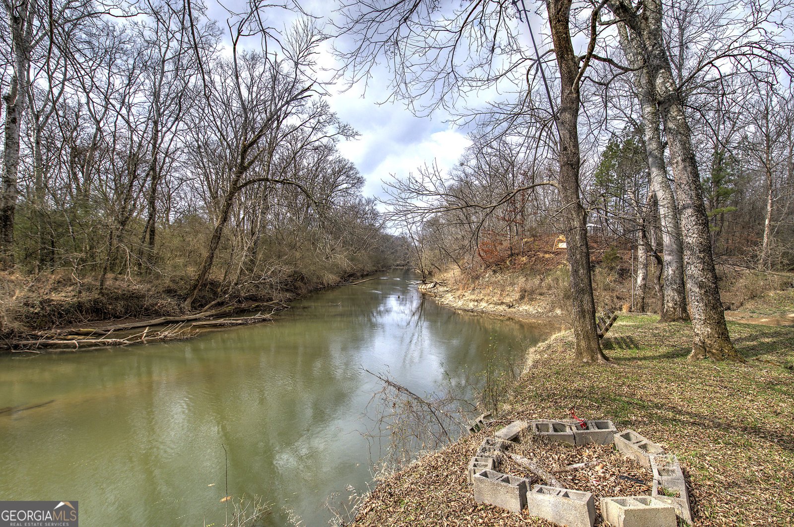 675 McGee Bend Road Cave Spring - Photo 33