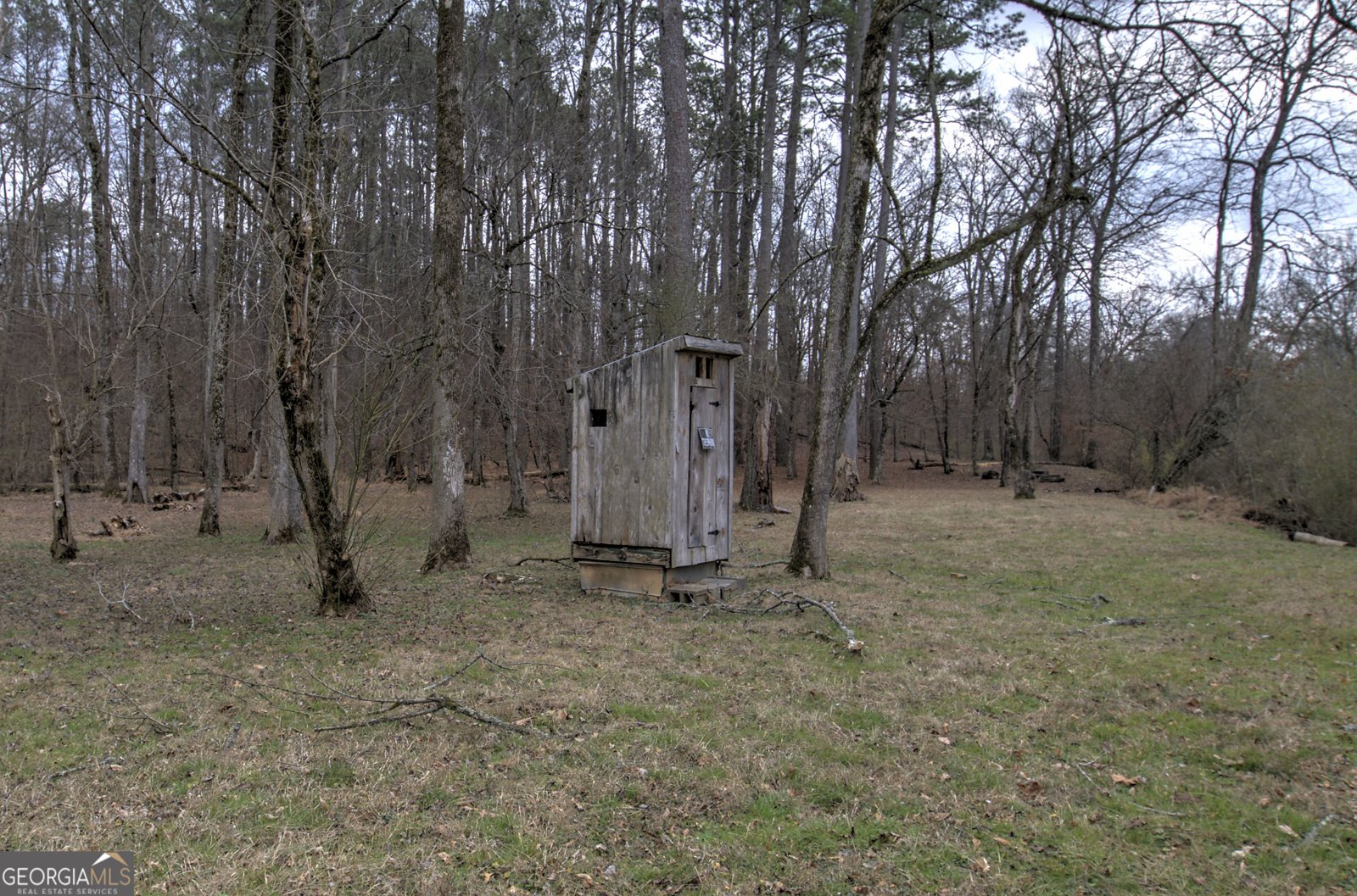 675 McGee Bend Road Cave Spring - Photo 41