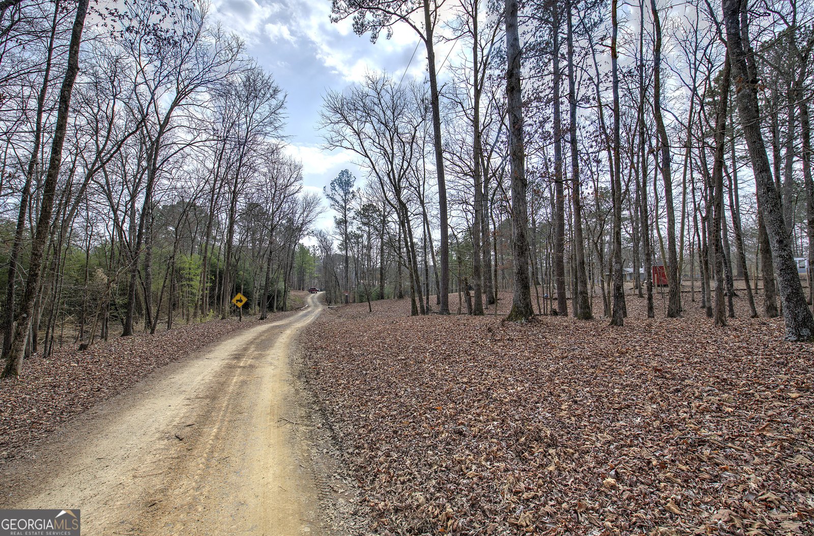 675 McGee Bend Road Cave Spring - Photo 48