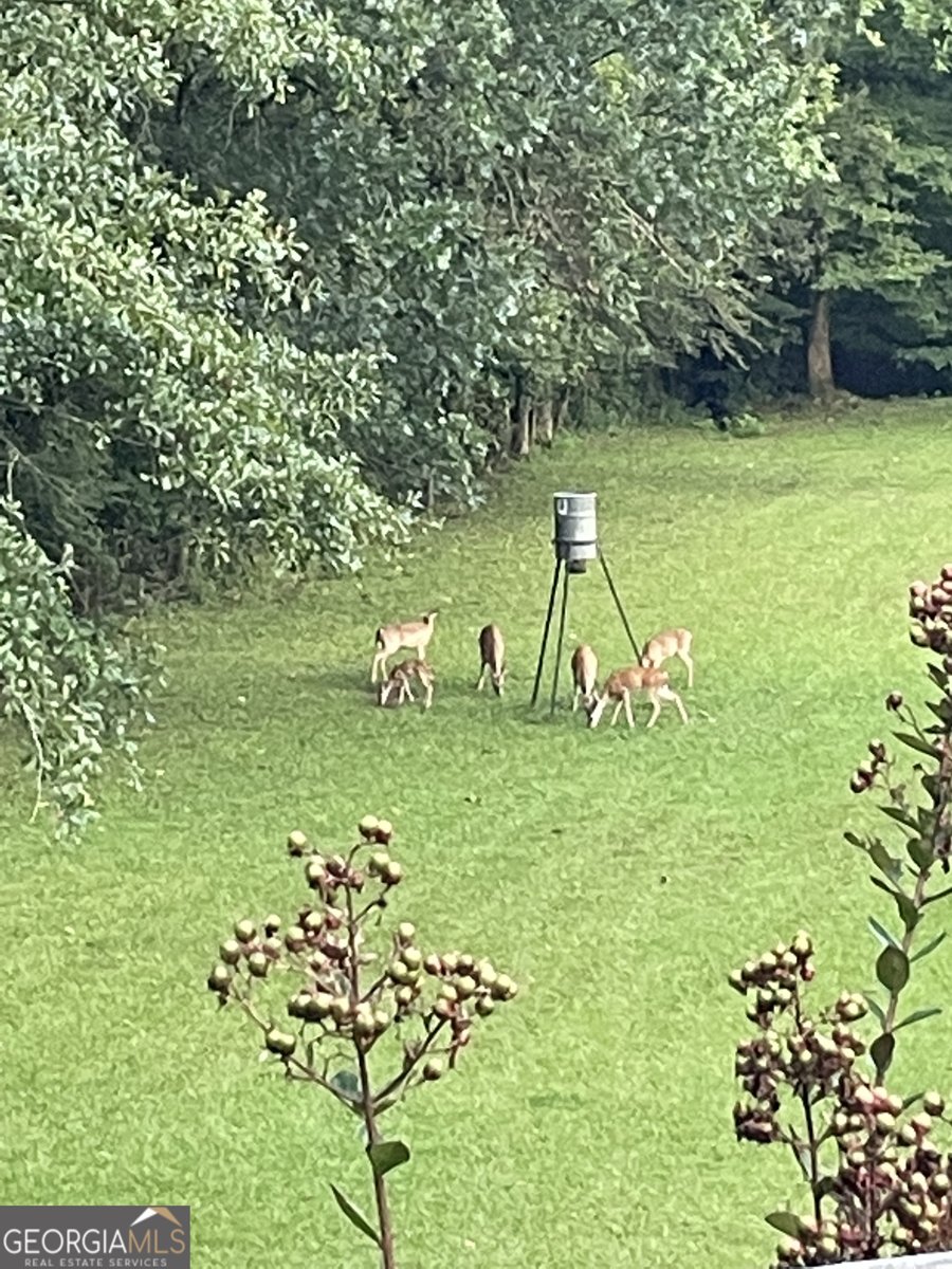 675 McGee Bend Road Cave Spring - Photo 67